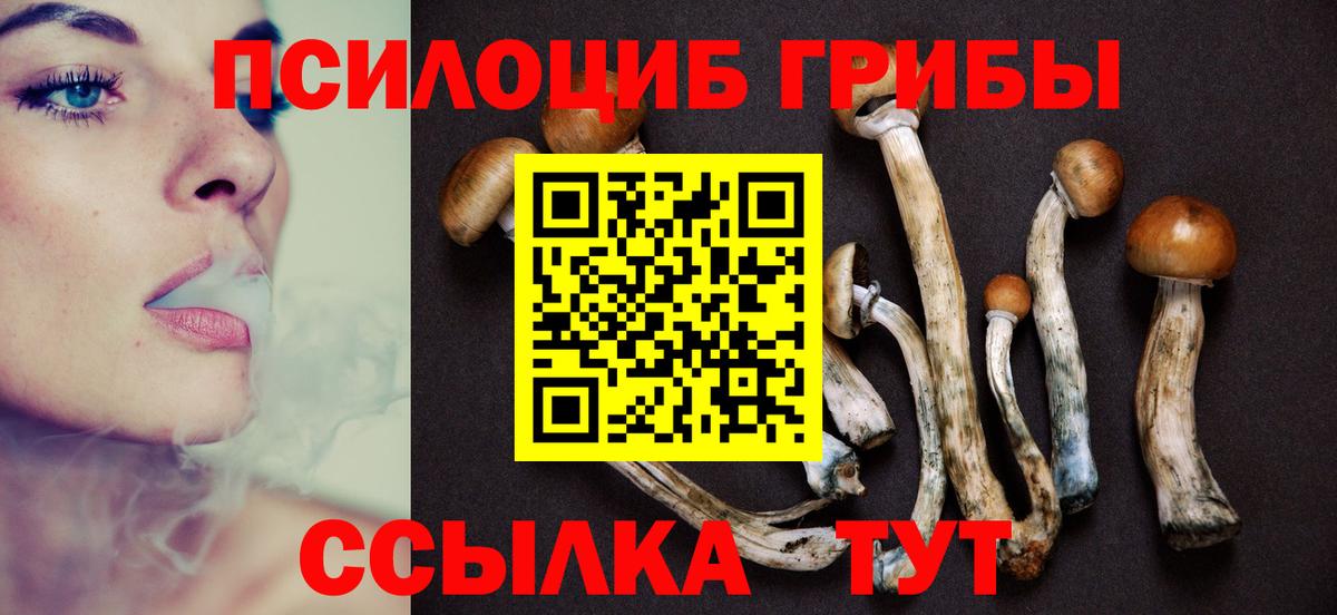 Выборг  Псилоцибиновые грибы Cubensis  Вход с VPN  Псилоцибиновые грибы Psilocybine cubensis 